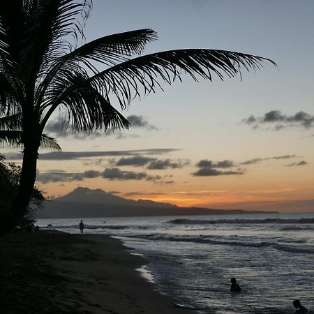 La Villa Caribeenne De La Plage Des Surfeurs La Trinité Exterior foto